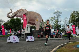 BIB: 
                            <button type="button" onclick="openModal(26528869)" class="btn btn-primary btn-sm float-right btn-popup" data-toggle="modal" data-target=".modal-high-quality">
                        <i class="fas fa-shopping-cart"></i> Add to Cart
                    </button>
                                            <button type="button" onclick="isThisMe(26528869, true)" class="btn btn-success btn-sm float-right btn-popup btn-isme hidden" data-toggle="tooltip" data-placement="bottom" title="นี่คือรูปของคุณใช่ไหม คลิกที่นี่เพื่อเอาเข้าอัลบั้ม">
                        <i class="fas fa-plus"></i> Add to album
                    </button>
                    <button type="button" onclick="isThisMe(26528869, false)" class="btn btn-warning btn-sm float-right btn-popup btn-isnotme hidden">
                        <i class="fas fa-ban"></i> Remove from album
                    </button>